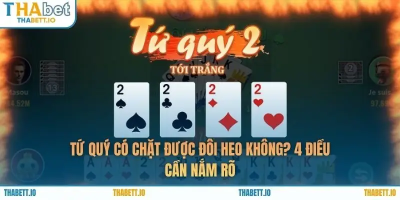 Tứ Quý Có Chặt Được Đôi Heo Không? 4 Điều Cần Nắm Rõ